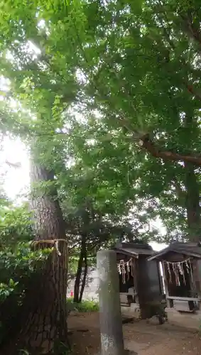 松先稲荷神社の自然