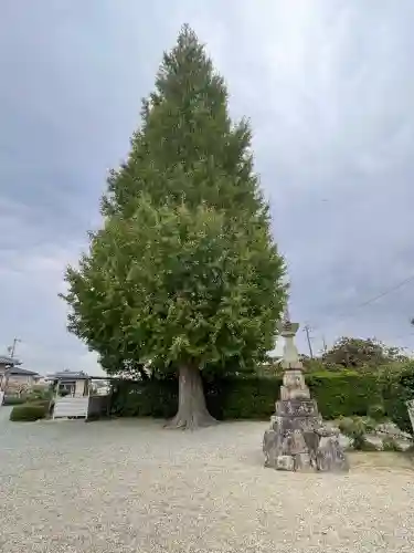 寶蔵寺(射和寺)(三重県)