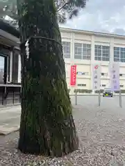 三輪神社(岐阜県)