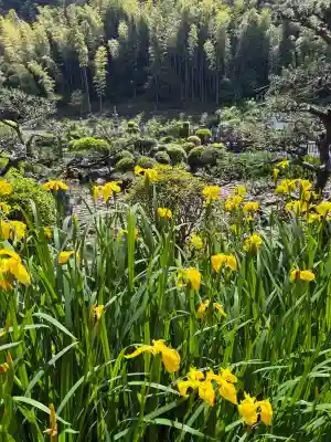 洞泉寺(岐阜県)