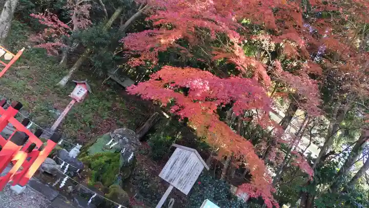 出雲大神宮(京都府)