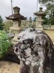 神吉八幡神社の狛犬