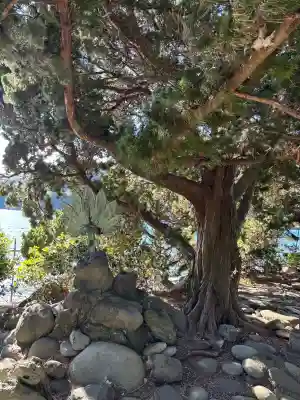 大瀬神社の{uncategorized: "未分類", other: "その他", undefined: "問題あり", building: "その他建物", grave: "お墓", sacred_gate: "鳥居", guardian: "狛犬", statue: "像", buddha: "仏像", history: "歴史", nature: "自然", garden: "庭園", animal: "動物", pagoda: "塔", temizu: "手水舎", mountain_gate: "山門・神門", sanctuary: "本殿・本堂", subordinate: "末社・摂社", art: "芸術", scenery: "景色", jizo: "地蔵", ema: "絵馬", goshuin: "御朱印", omikuji: "おみくじ", items: "授与品その他", amulet: "お守り", goshuincho: "御朱印帳", eats: "食事", festival: "お祭り", votive_dance: "神楽", shichigosan: "七五三参", wedding: "結婚式", experience: "体験その他", initially: "初詣", around: "周辺", anti_infection: "感染症対策"}
