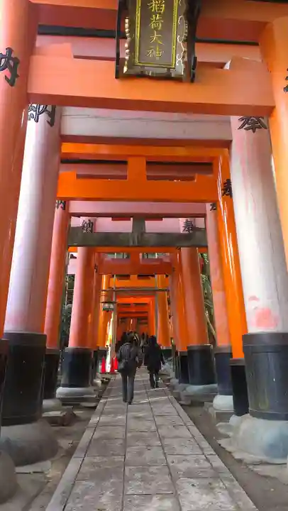 伏見稲荷大社の鳥居