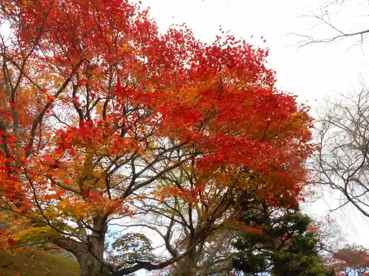 善峯寺(京都府)