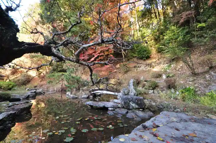 如法寺(愛媛県)