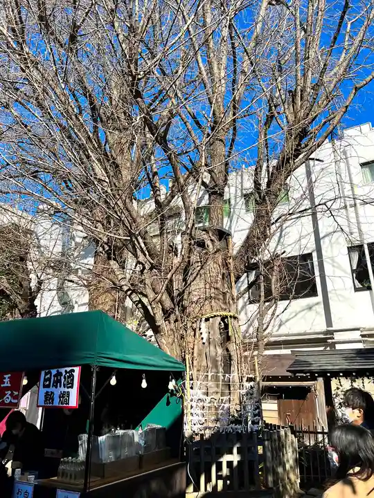 天祖神社(東京都)
