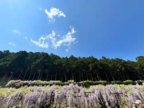 天台宗 五大山 白毫寺(兵庫県)