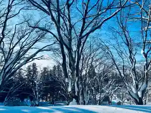 土津神社|こどもと出世の神さまの自然(2022年01月11日(火) 21時06分47秒投稿)