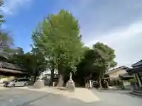 春日部八幡神社(埼玉県)