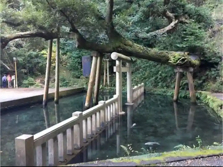 鹿島神宮の庭園