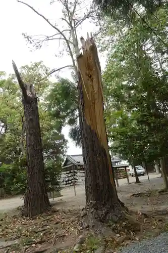 月読神社の自然