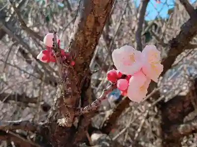 大分縣護國神社(大分県)