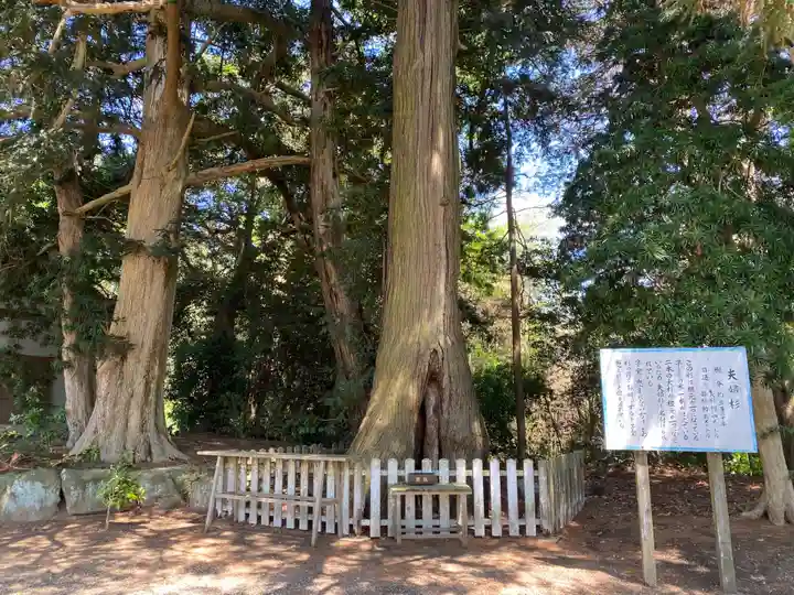 鎌数伊勢大神宮(千葉県)