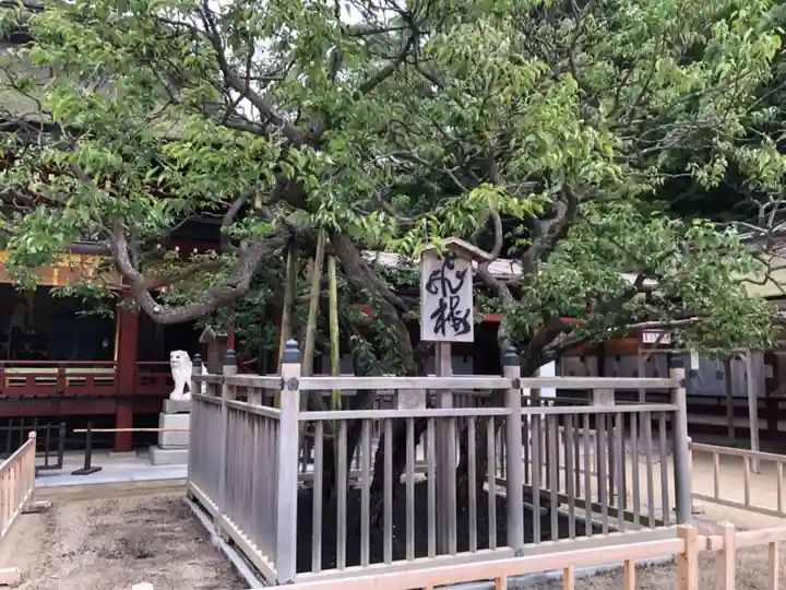 太宰府天満宮の自然