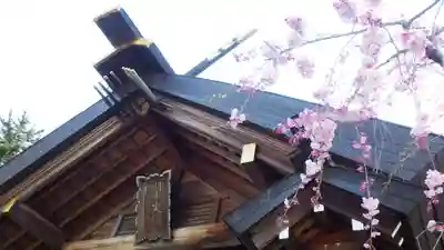 開成山大神宮の本殿・本堂