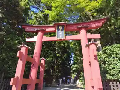 彌彦神社(新潟県)