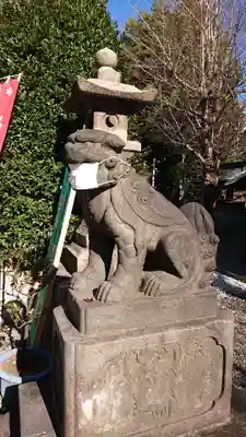 白鬚神社の狛犬