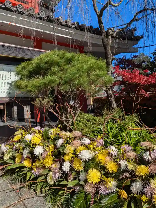 高幡不動尊 金剛寺(東京都)