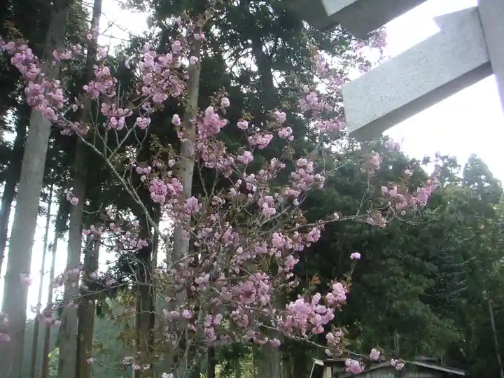 志子淵神社の自然