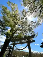 白鳥神社の鳥居