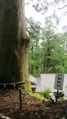 玉置神社の建物その他