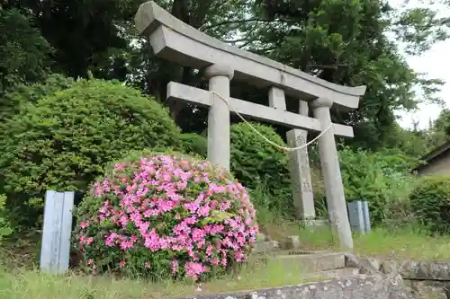 駒形稲荷神社の鳥居