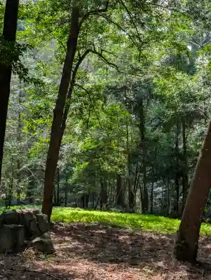 伊和神社の{uncategorized: "未分類", other: "その他", undefined: "問題あり", building: "その他建物", grave: "お墓", sacred_gate: "鳥居", guardian: "狛犬", statue: "像", buddha: "仏像", history: "歴史", nature: "自然", garden: "庭園", animal: "動物", pagoda: "塔", temizu: "手水舎", mountain_gate: "山門・神門", sanctuary: "本殿・本堂", subordinate: "末社・摂社", art: "芸術", scenery: "景色", jizo: "地蔵", ema: "絵馬", goshuin: "御朱印", omikuji: "おみくじ", items: "授与品その他", amulet: "お守り", goshuincho: "御朱印帳", eats: "食事", festival: "お祭り", votive_dance: "神楽", shichigosan: "七五三参", wedding: "結婚式", experience: "体験その他", initially: "初詣", around: "周辺", anti_infection: "感染症対策"}
