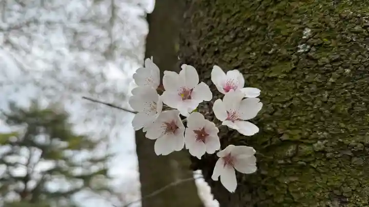 止々井神社(岩手県)