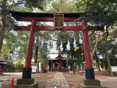 氷川女體神社の鳥居