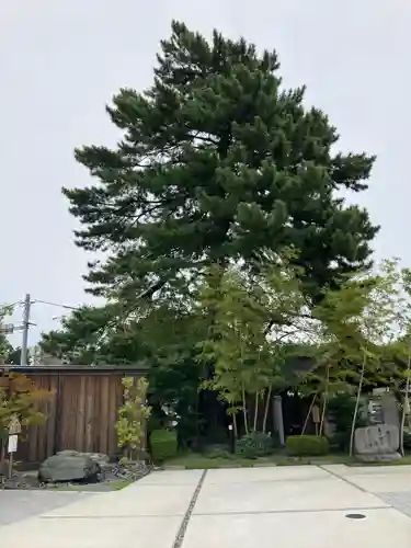 前橋東照宮(群馬県)