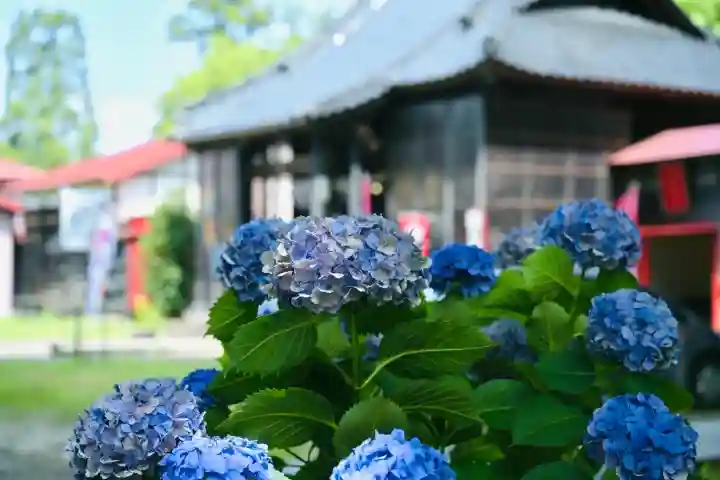 安禅寺(新潟県)