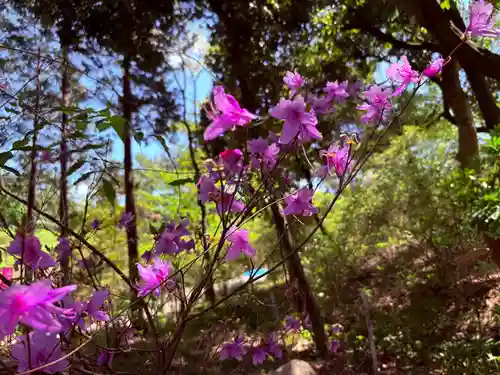 廣田神社(兵庫県)