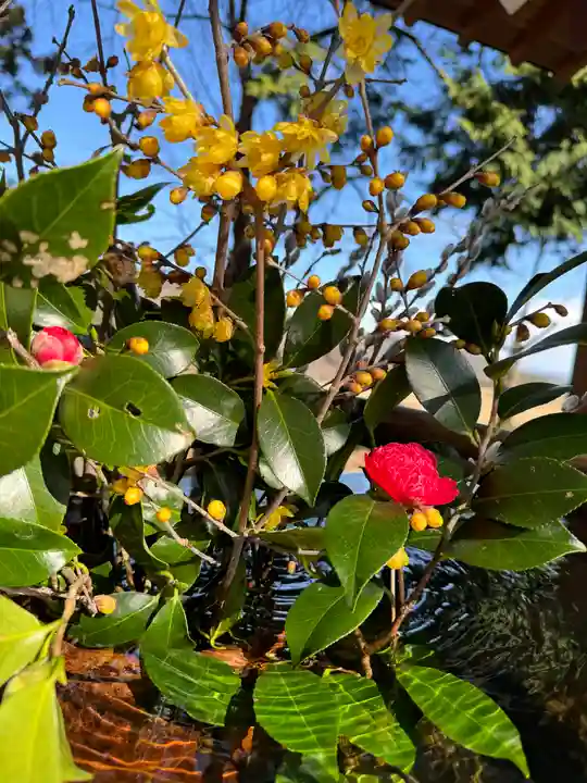 高司神社〜むすびの神の鎮まる社〜(福島県)