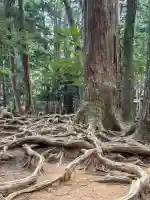 鞍馬寺の{uncategorized: "未分類", other: "その他", undefined: "問題あり", building: "その他建物", grave: "お墓", sacred_gate: "鳥居", guardian: "狛犬", statue: "像", buddha: "仏像", history: "歴史", nature: "自然", garden: "庭園", animal: "動物", pagoda: "塔", temizu: "手水舎", mountain_gate: "山門・神門", sanctuary: "本殿・本堂", subordinate: "末社・摂社", art: "芸術", scenery: "景色", jizo: "地蔵", ema: "絵馬", goshuin: "御朱印", omikuji: "おみくじ", items: "授与品その他", amulet: "お守り", goshuincho: "御朱印帳", eats: "食事", festival: "お祭り", votive_dance: "神楽", shichigosan: "七五三参", wedding: "結婚式", experience: "体験その他", initially: "初詣", around: "周辺", anti_infection: "感染症対策"}