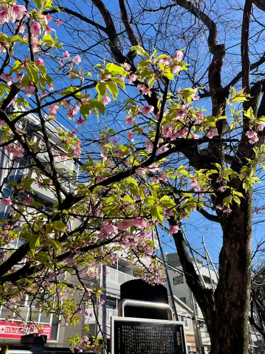 木場 洲﨑神社(東京都)