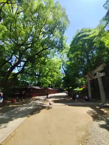 駒込稲荷神社の{uncategorized: "未分類", other: "その他", undefined: "問題あり", building: "その他建物", grave: "お墓", sacred_gate: "鳥居", guardian: "狛犬", statue: "像", buddha: "仏像", history: "歴史", nature: "自然", garden: "庭園", animal: "動物", pagoda: "塔", temizu: "手水舎", mountain_gate: "山門・神門", sanctuary: "本殿・本堂", subordinate: "末社・摂社", art: "芸術", scenery: "景色", jizo: "地蔵", ema: "絵馬", goshuin: "御朱印", omikuji: "おみくじ", items: "授与品その他", amulet: "お守り", goshuincho: "御朱印帳", eats: "食事", festival: "お祭り", votive_dance: "神楽", shichigosan: "七五三参", wedding: "結婚式", experience: "体験その他", initially: "初詣", around: "周辺", anti_infection: "感染症対策"}