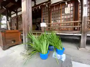 許麻神社(大阪府)(2022年05月02日(月) 18時45分38秒投稿)