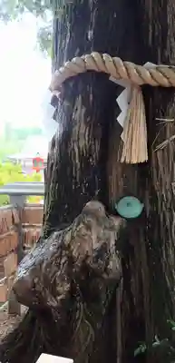 東光院(千葉県)