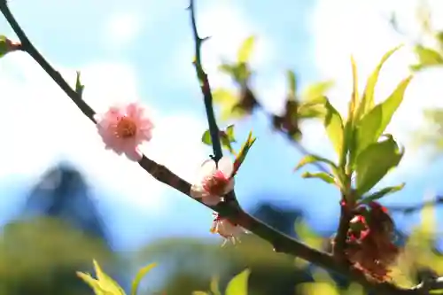 瑞巌寺の自然