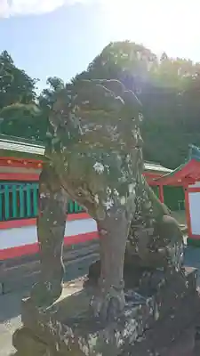 高良大社の狛犬