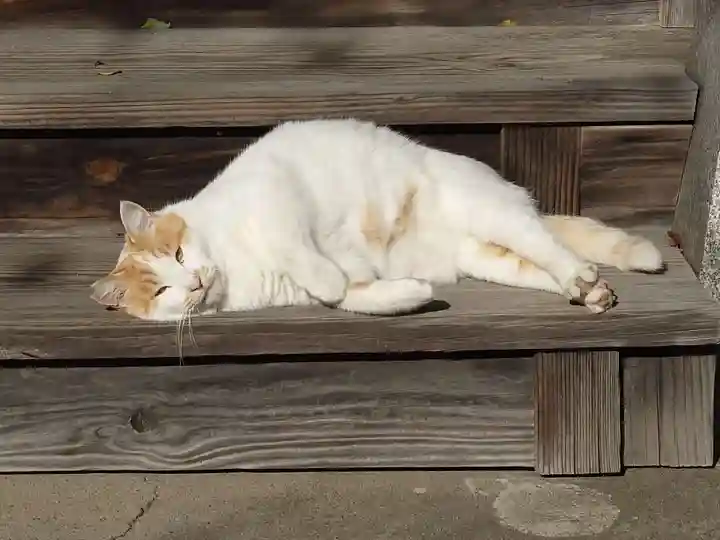 菅原神社(新潟県)