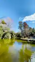 武蔵一宮氷川神社の庭園