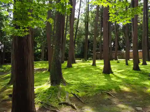 唐招提寺のその他建物