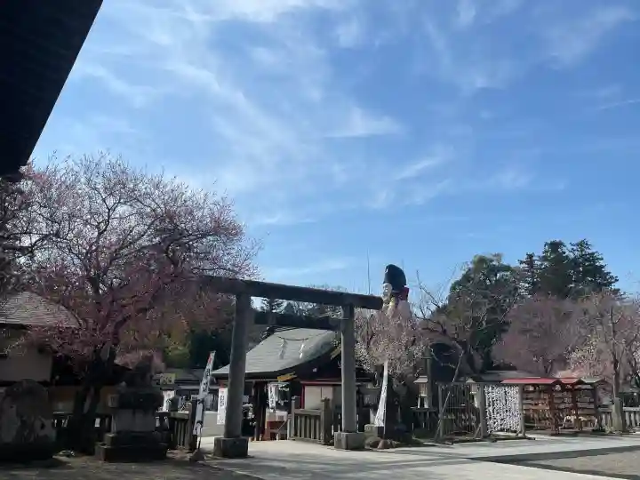大前恵比寿神社の{uncategorized: "未分類", other: "その他", undefined: "問題あり", building: "その他建物", grave: "お墓", sacred_gate: "鳥居", guardian: "狛犬", statue: "像", buddha: "仏像", history: "歴史", nature: "自然", garden: "庭園", animal: "動物", pagoda: "塔", temizu: "手水舎", mountain_gate: "山門・神門", sanctuary: "本殿・本堂", subordinate: "末社・摂社", art: "芸術", scenery: "景色", jizo: "地蔵", ema: "絵馬", goshuin: "御朱印", omikuji: "おみくじ", items: "授与品その他", amulet: "お守り", goshuincho: "御朱印帳", eats: "食事", festival: "お祭り", votive_dance: "神楽", shichigosan: "七五三参", wedding: "結婚式", experience: "体験その他", initially: "初詣", around: "周辺", anti_infection: "感染症対策"}