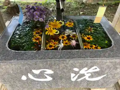 坂本八幡神社の手水舎