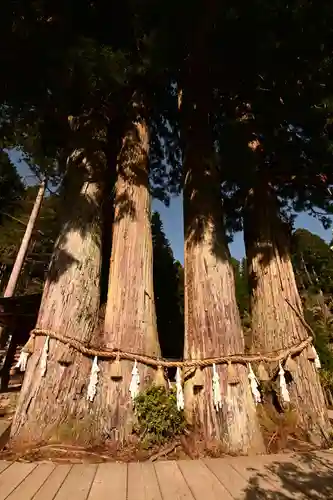 金剛三昧院(和歌山県)