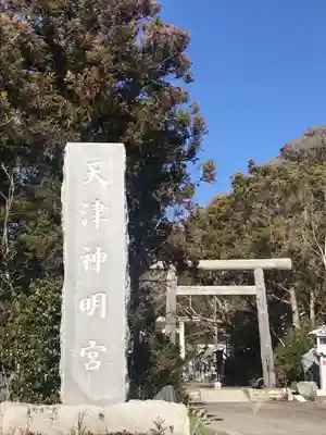 天津神明宮の鳥居