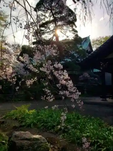 龍光寺(東京都)