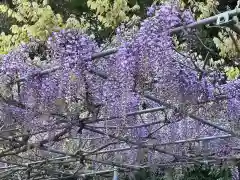 大生郷天満宮の庭園